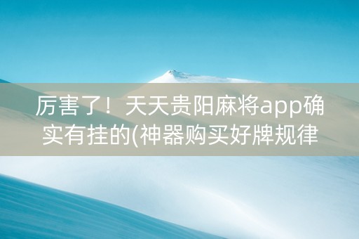 厉害了！天天贵阳麻将app确实有挂的(神器购买好牌规律)