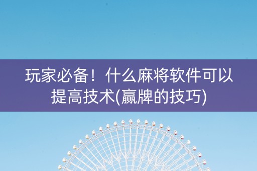 玩家必备！什么麻将软件可以提高技术(赢牌的技巧)