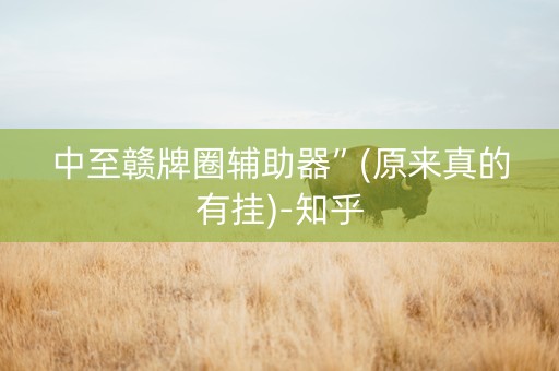 中至赣牌圈辅助器”(原来真的有挂)-知乎