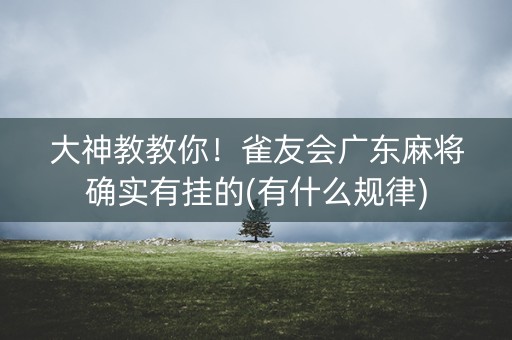 大神教教你！雀友会广东麻将确实有挂的(有什么规律)