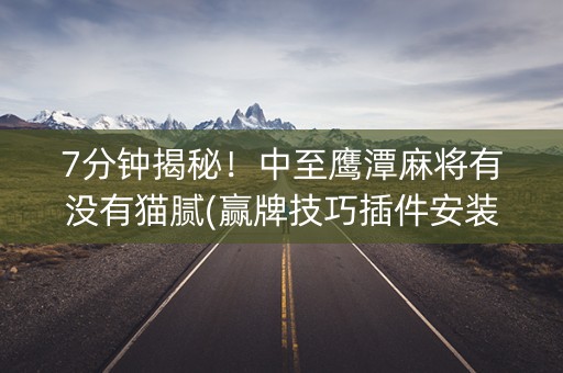 7分钟揭秘！中至鹰潭麻将有没有猫腻(赢牌技巧插件安装)