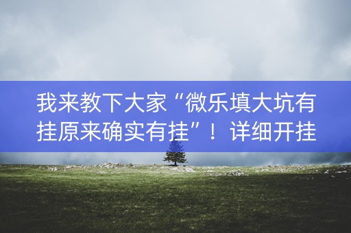 我来教下大家“微乐填大坑有挂原来确实有挂”！详细开挂教程（确实真的有挂)-知乎