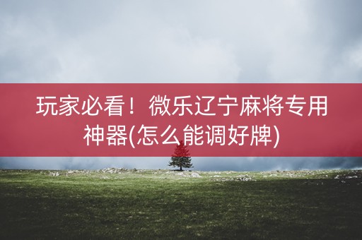 玩家必看！微乐辽宁麻将专用神器(怎么能调好牌)