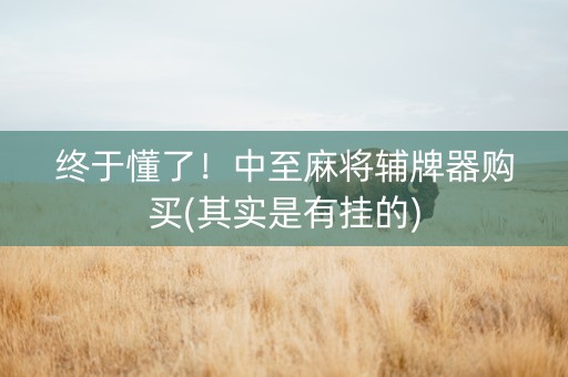 终于懂了！中至麻将辅牌器购买(其实是有挂的)