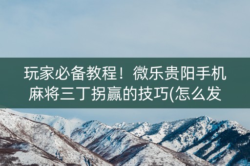 玩家必备教程！微乐贵阳手机麻将三丁拐赢的技巧(怎么发好牌)