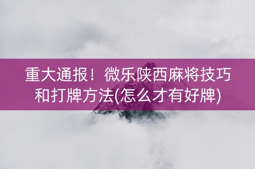 重大通报！微乐陕西麻将技巧和打牌方法(怎么才有好牌)