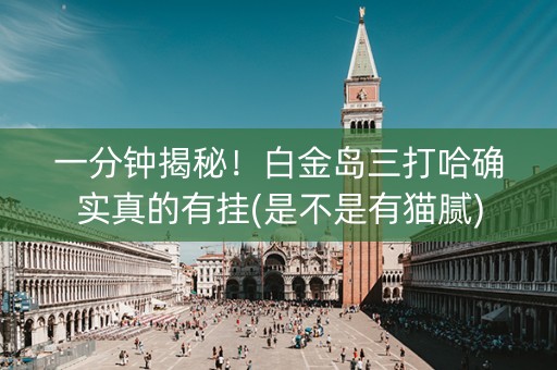 一分钟揭秘！白金岛三打哈确实真的有挂(是不是有猫腻)