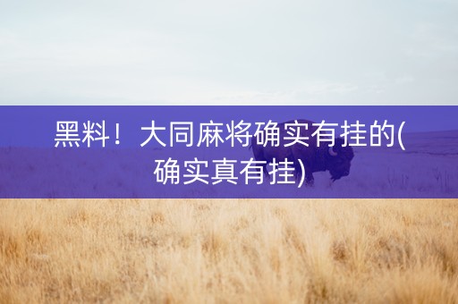 黑料！大同麻将确实有挂的(确实真有挂)