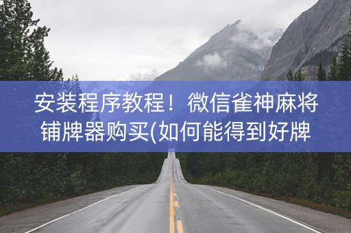 安装程序教程！微信雀神麻将铺牌器购买(如何能得到好牌)