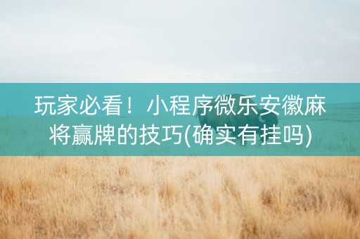 玩家必看！小程序微乐安徽麻将赢牌的技巧(确实有挂吗)