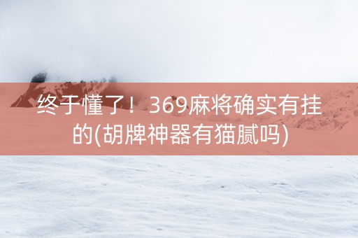 终于懂了！369麻将确实有挂的(胡牌神器有猫腻吗)