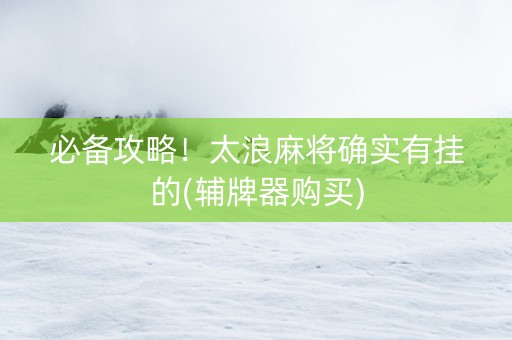 必备攻略！太浪麻将确实有挂的(辅牌器购买)