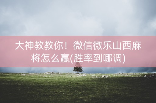 大神教教你！微信微乐山西麻将怎么赢(胜率到哪调)