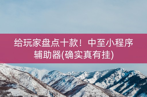 给玩家盘点十款！中至小程序辅助器(确实真有挂)
