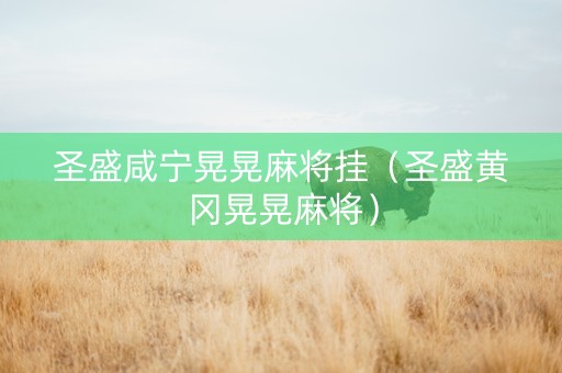 圣盛咸宁晃晃麻将挂（圣盛黄冈晃晃麻将）
