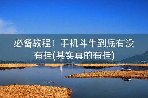 必备教程！手机斗牛到底有没有挂(其实真的有挂)