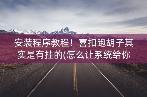 安装程序教程！喜扣跑胡子其实是有挂的(怎么让系统给你发好牌)