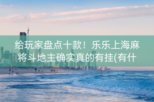 给玩家盘点十款！乐乐上海麻将斗地主确实真的有挂(有什么技巧)