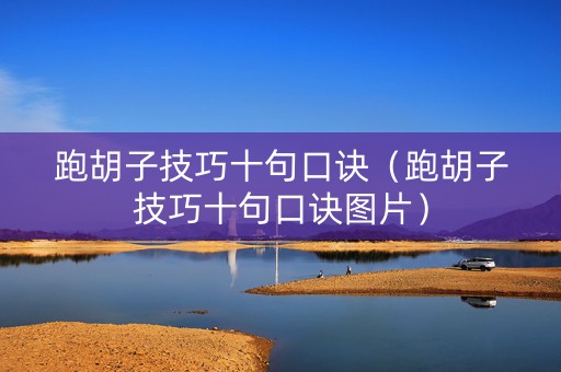 跑胡子技巧十句口诀（跑胡子技巧十句口诀图片）