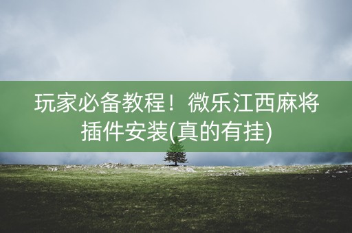 玩家必备教程！微乐江西麻将插件安装(真的有挂)