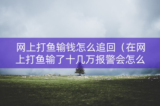 网上打鱼输钱怎么追回（在网上打鱼输了十几万报警会怎么样）