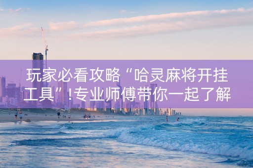玩家必看攻略“哈灵麻将开挂工具”!专业师傅带你一起了解（详细教程）-知乎