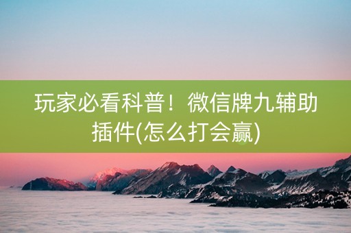 玩家必看科普！微信牌九辅助插件(怎么打会赢)