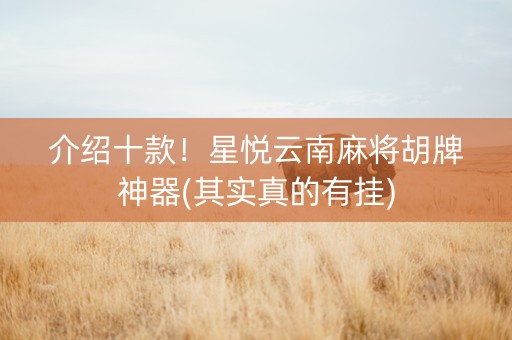 介绍十款！星悦云南麻将胡牌神器(其实真的有挂)