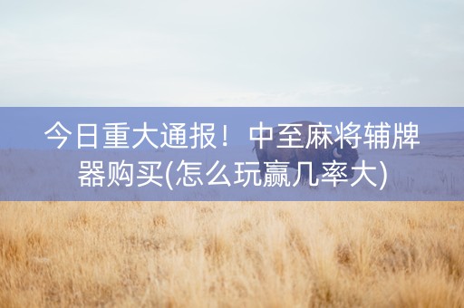 今日重大通报！中至麻将辅牌器购买(怎么玩赢几率大)