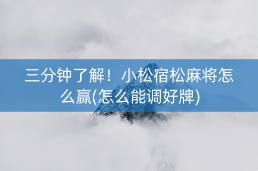 三分钟了解！小松宿松麻将怎么赢(怎么能调好牌)