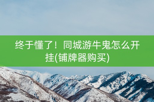 终于懂了！同城游牛鬼怎么开挂(铺牌器购买)