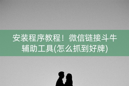 安装程序教程！微信链接斗牛辅助工具(怎么抓到好牌)