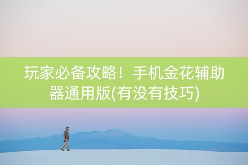 玩家必备攻略！手机金花辅助器通用版(有没有技巧)