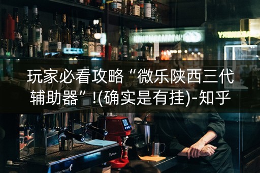 玩家必看攻略“微乐陕西三代辅助器”!(确实是有挂)-知乎