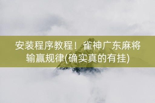 安装程序教程！雀神广东麻将输赢规律(确实真的有挂)