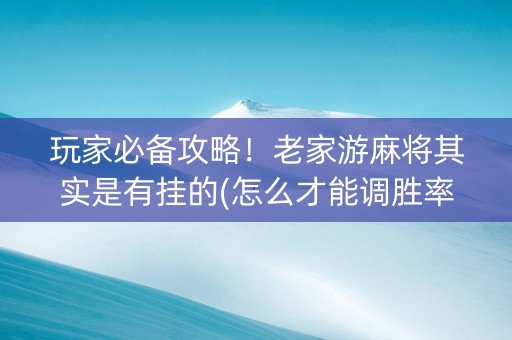 玩家必备攻略！老家游麻将其实是有挂的(怎么才能调胜率)