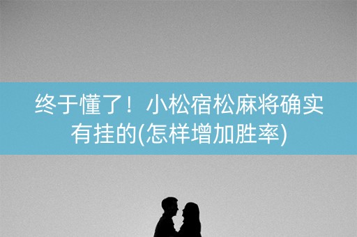 终于懂了！小松宿松麻将确实有挂的(怎样增加胜率)