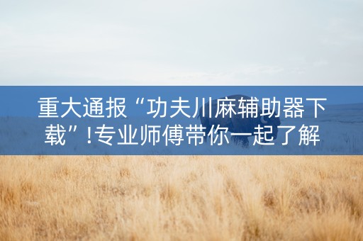 重大通报“功夫川麻辅助器下载”!专业师傅带你一起了解（详细教程）-知乎