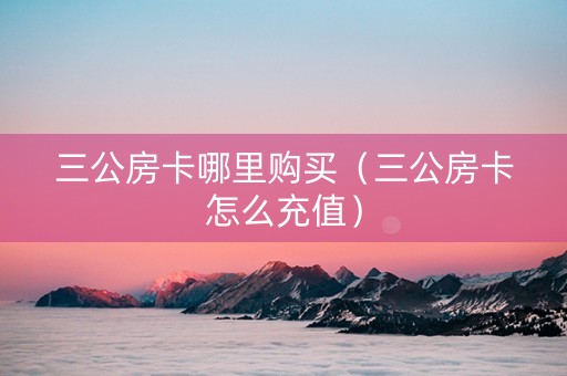 三公房卡哪里购买（三公房卡怎么充值）
