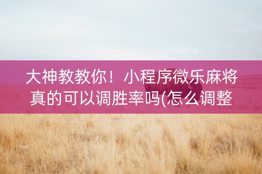 大神教教你！小程序微乐麻将真的可以调胜率吗(怎么调整胜率)