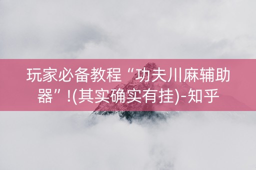 玩家必备教程“功夫川麻辅助器”!(其实确实有挂)-知乎