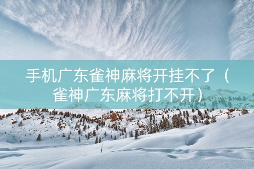 手机广东雀神麻将开挂不了（雀神广东麻将打不开）