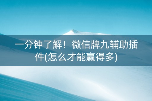 一分钟了解！微信牌九辅助插件(怎么才能赢得多)
