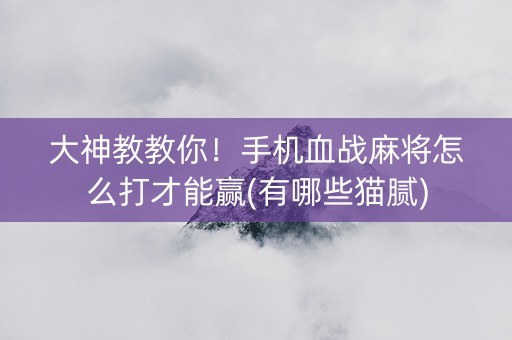 大神教教你！手机血战麻将怎么打才能赢(有哪些猫腻)