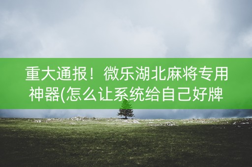重大通报！微乐湖北麻将专用神器(怎么让系统给自己好牌)