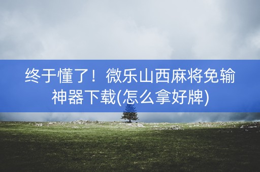 终于懂了！微乐山西麻将免输神器下载(怎么拿好牌)