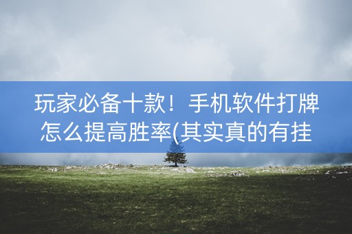 玩家必备十款！手机软件打牌怎么提高胜率(其实真的有挂)