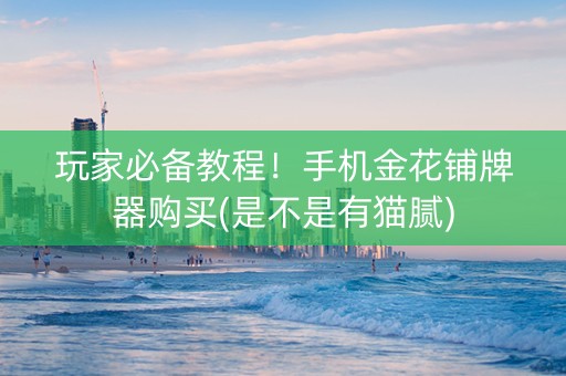 玩家必备教程！手机金花铺牌器购买(是不是有猫腻)