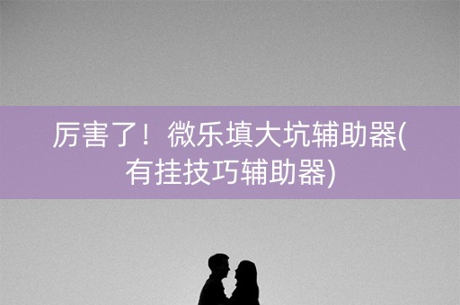 厉害了！微乐填大坑辅助器(有挂技巧辅助器)