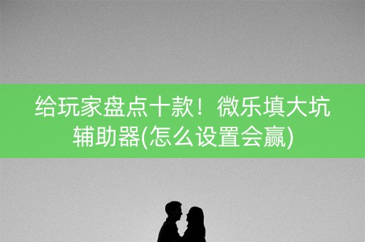 给玩家盘点十款！微乐填大坑辅助器(怎么设置会赢)